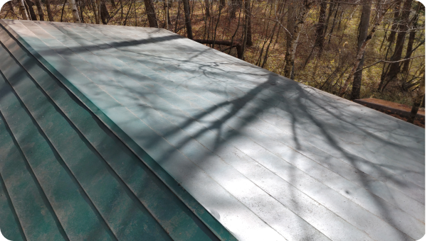 落ち葉降ろしのafter